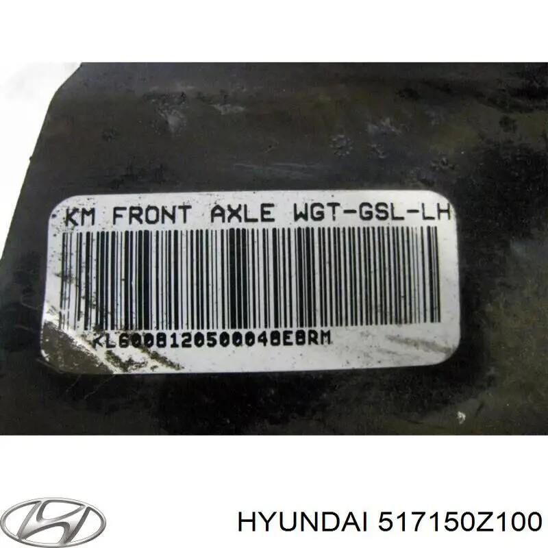 Цапфа (поворотный кулак) передний левый Hyundai/Kia 517150Z100 цена, от 62.47 USD