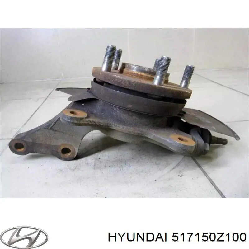 Купить 517150Z100 Hyundai/Kia Цапфа поворотная левая