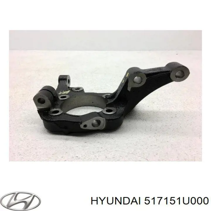 Цапфа (поворотный кулак) передний левый Hyundai/Kia 517151U000 цена, от 141.72 USD