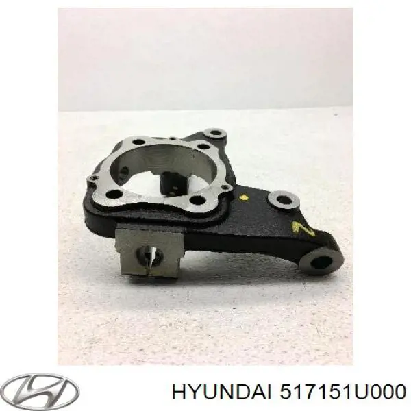 Купить 517151U000 Hyundai/Kia Цапфа поворотная левая