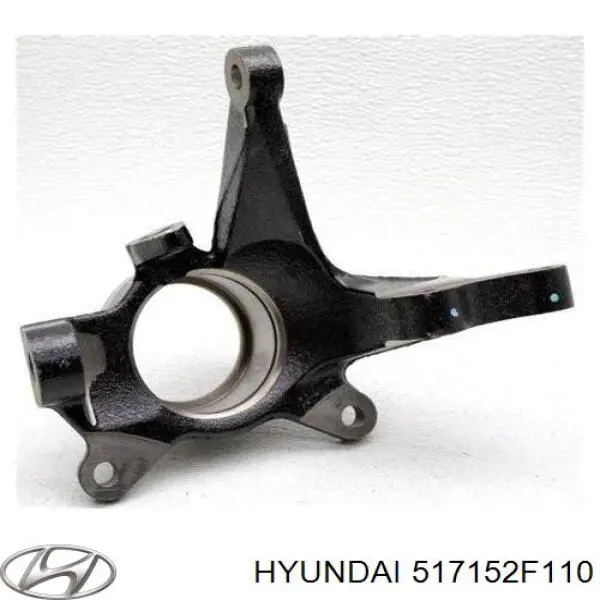 Цапфа (поворотный кулак) передний левый Hyundai/Kia 517152F110 цена, от 165.25 USD