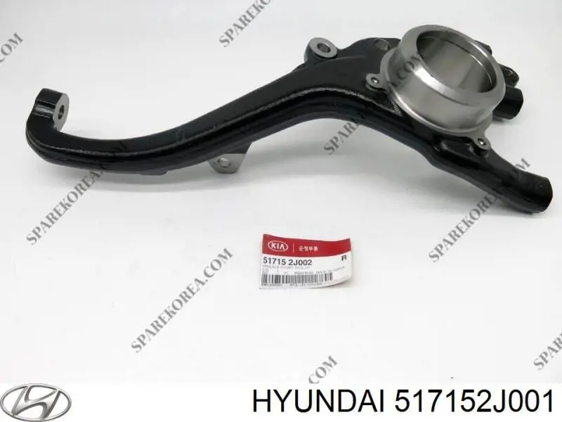 Купить 517152J002 Hyundai/Kia Цапфа поворотная левая