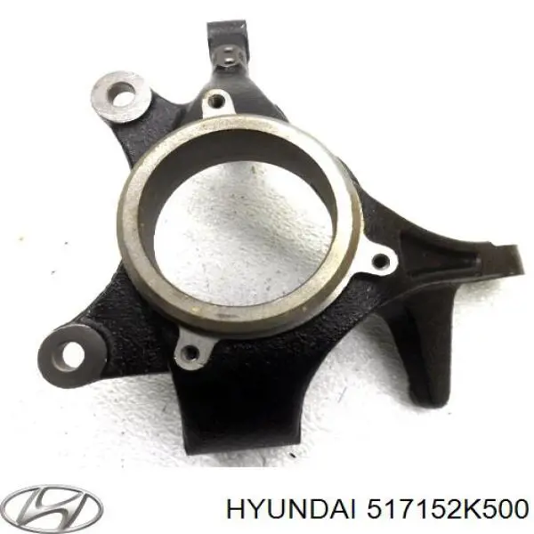 Цапфа (поворотный кулак) передний левый Hyundai/Kia 517152K500 цена, от  USD