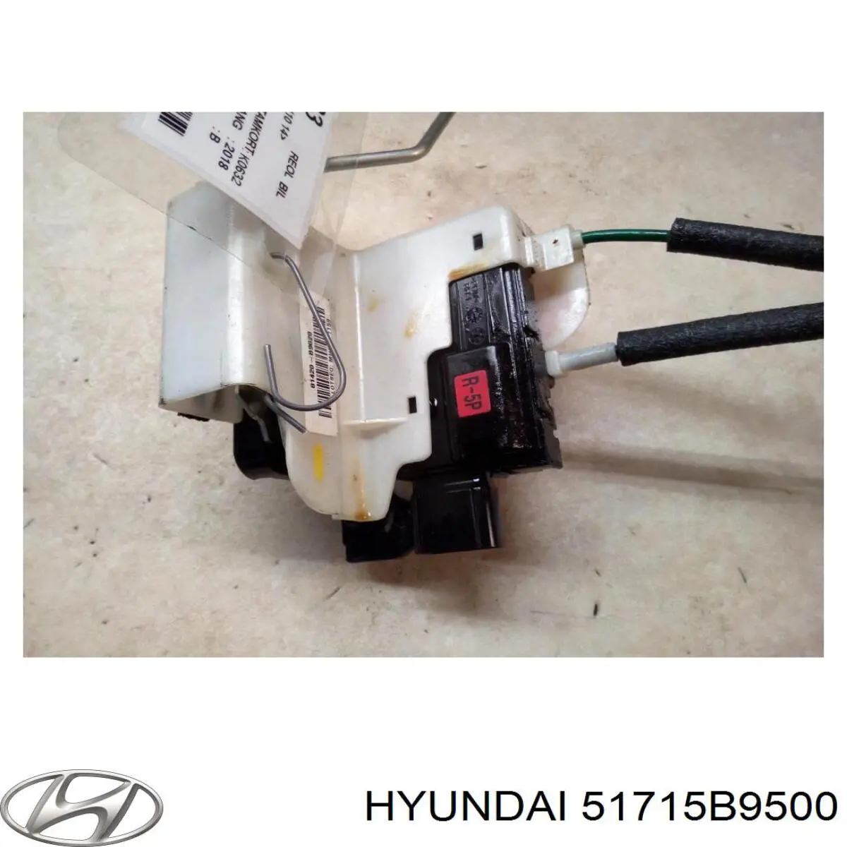 Купить 51715B9500 Hyundai/Kia Цапфа поворотная левая