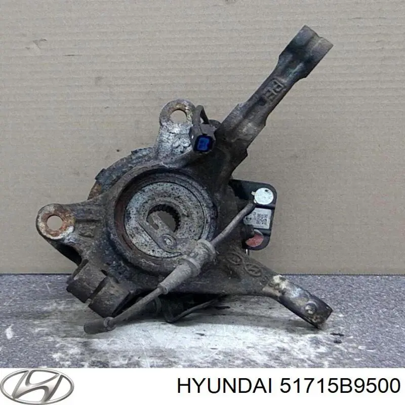 Цапфа (поворотный кулак) передний левый Hyundai/Kia 51715B9500 цена, от  USD