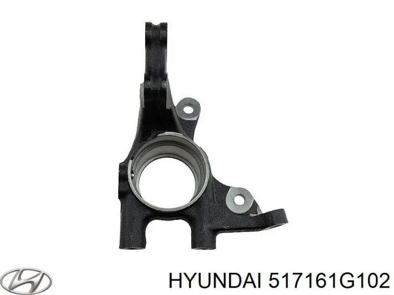 Цапфа (поворотный кулак) передний правый Hyundai/Kia 517161G102 цена, от 218.06 USD