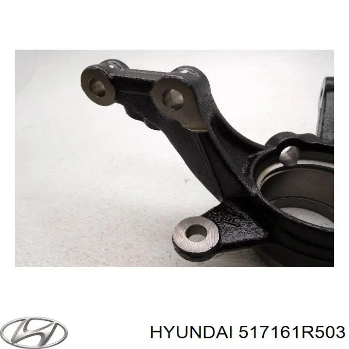 Цапфа (поворотный кулак) передний правый Hyundai/Kia 517161R503 цена, от 76.19 USD