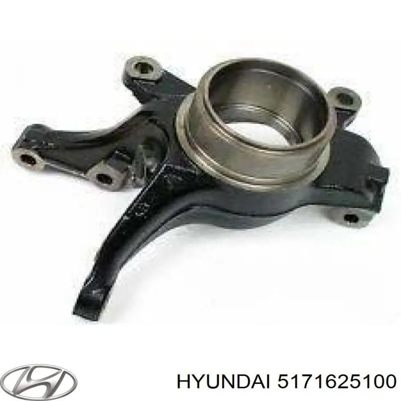 Цапфа (поворотный кулак) передний правый 5171625100 Hyundai/Kia