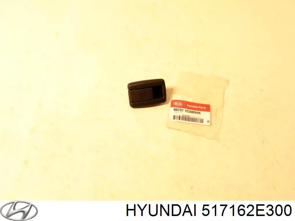517162E300 Hyundai/Kia цапфа (поворотный кулак передний правый)