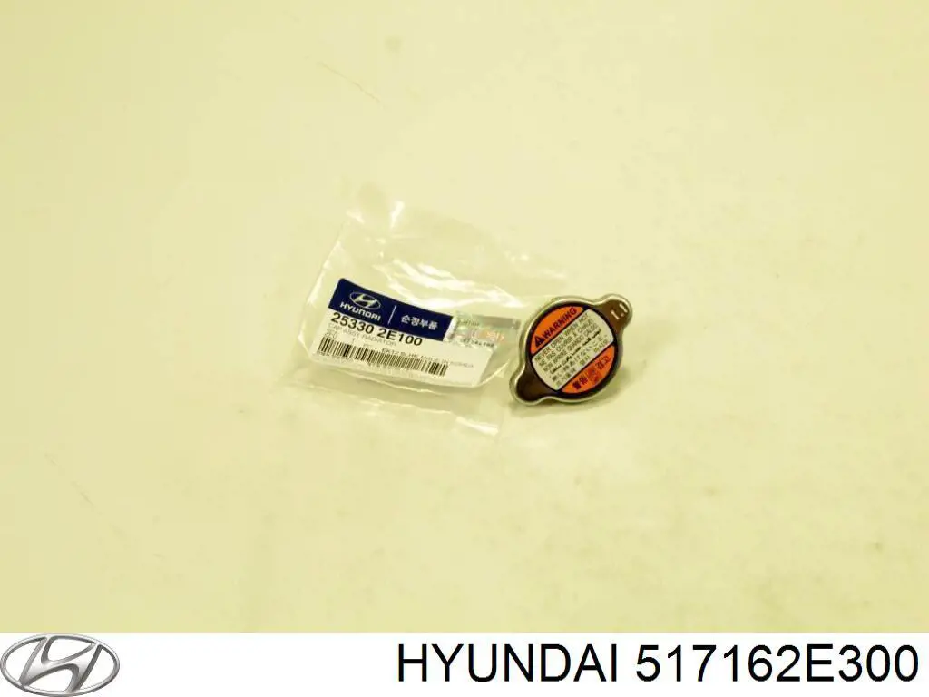 Цапфа (поворотный кулак) передний правый Hyundai/Kia 517162E300 цена, от 141.90 USD