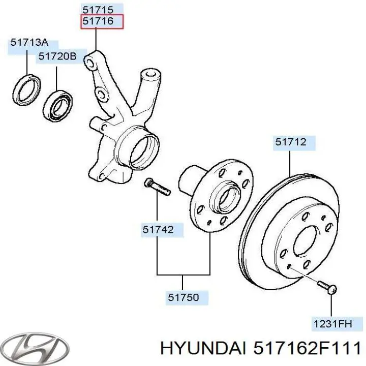 Цапфа (поворотный кулак) передний правый 517162F111 Hyundai/Kia