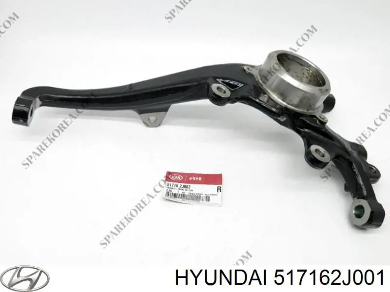 517162J002 Hyundai/Kia Цапфа - поворотный кулак передний, правый