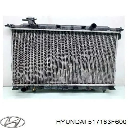 Цапфа (поворотный кулак) передний правый Hyundai/Kia 517163F600 цена, от  USD