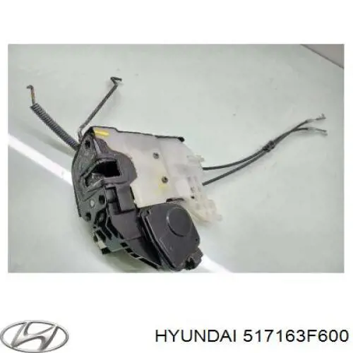 Кулак поворотный передний правый Hyundai/Kia 517163F600