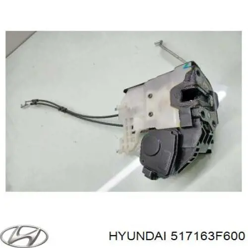 Цапфа (поворотный кулак) передний правый Hyundai/Kia 517163F600 цена, от  USD