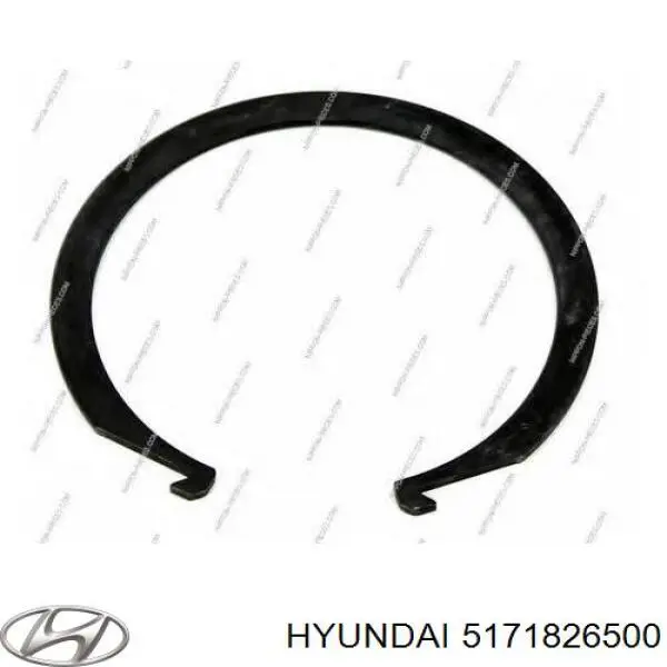 Купить 5171826500 Hyundai/Kia Кольцо стопорное подшипника передней ступицы