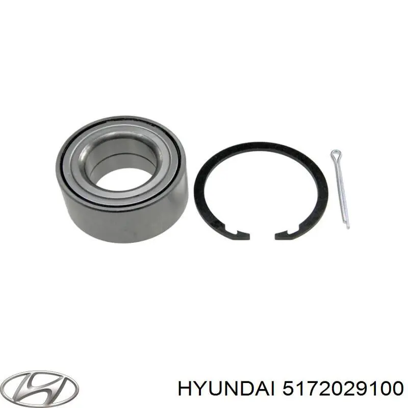 5172029100 Hyundai/Kia Подшипник ступицы передней