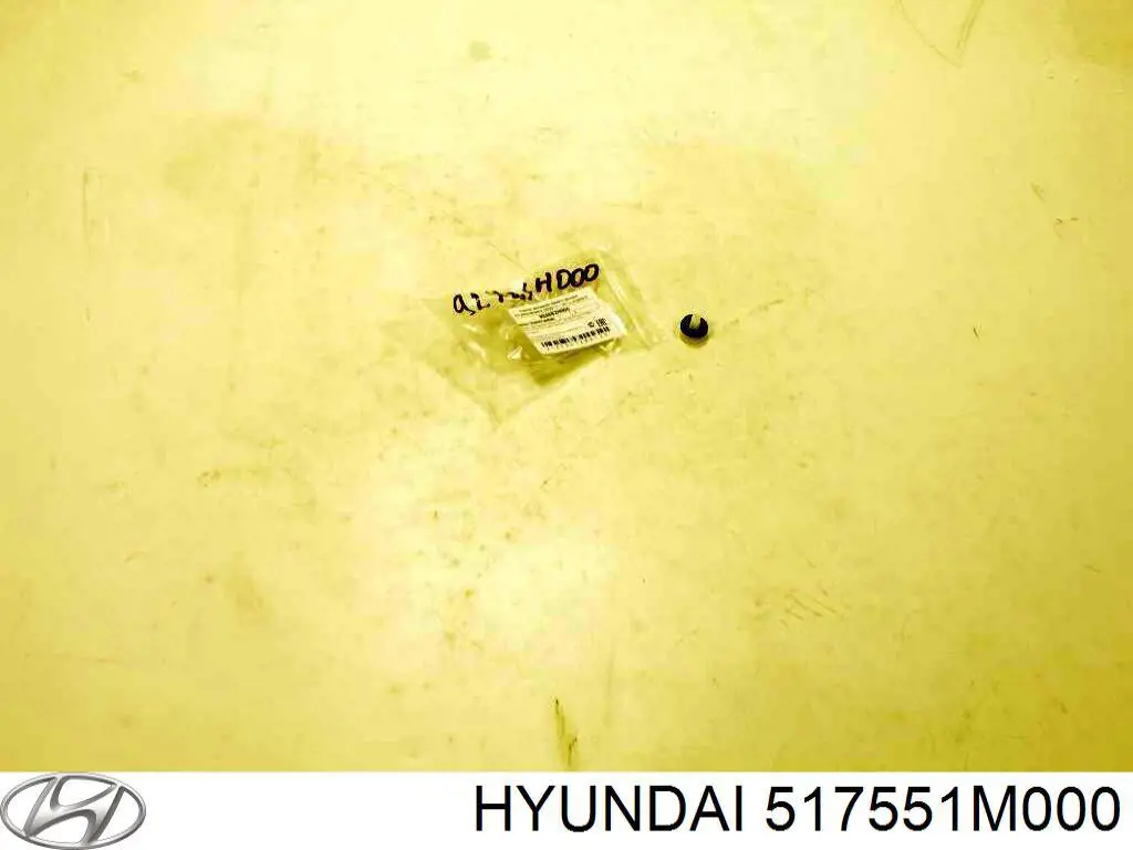 517551M000 Hyundai/Kia Пыльник тормозного диска переднего левого