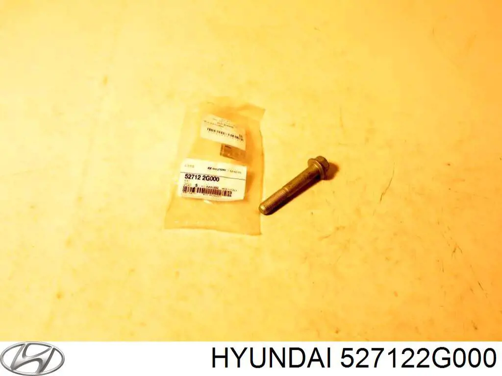 Купить 527122G000 Hyundai/Kia Болт крепления заднего нижнего рычага, наружный