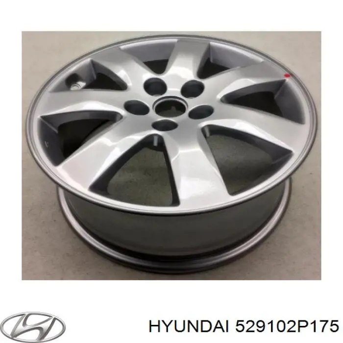 529102P175 Hyundai/Kia 