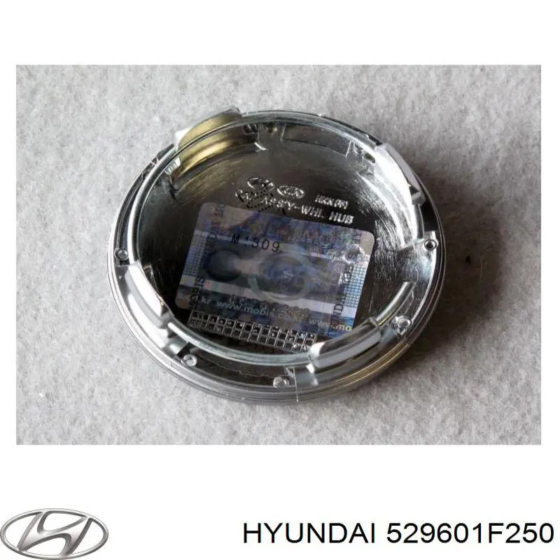 529601F250 Hyundai/Kia 