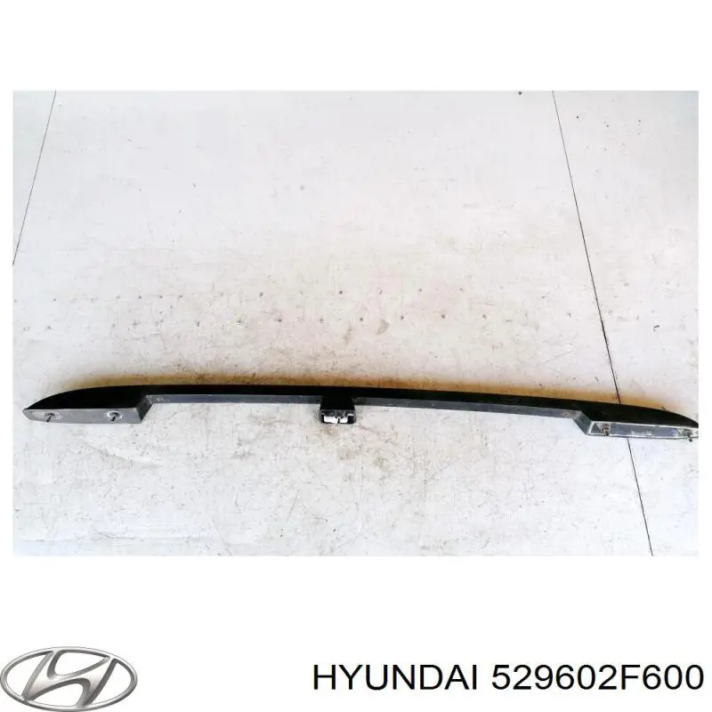 Колпак колесного диска Hyundai/Kia 529602F600 цена, от 11.29 USD