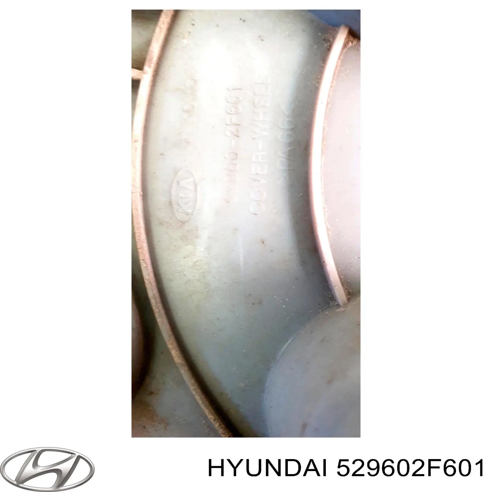Колпак колесного диска Hyundai/Kia 529602F601 цена, от 11.29 USD
