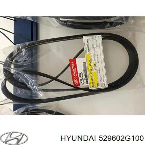 529602G100 Hyundai/Kia Колпаки на диски