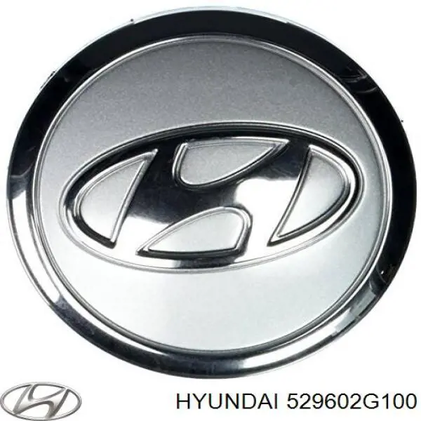  529602G100 Hyundai/Kia