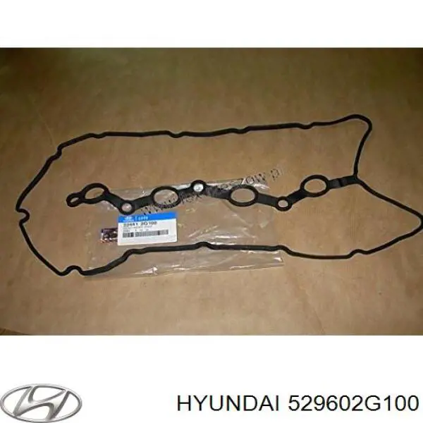 Купить 529602G100 Hyundai/Kia Колпаки