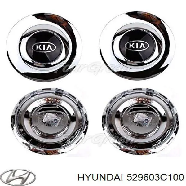  529603C100 Hyundai/Kia