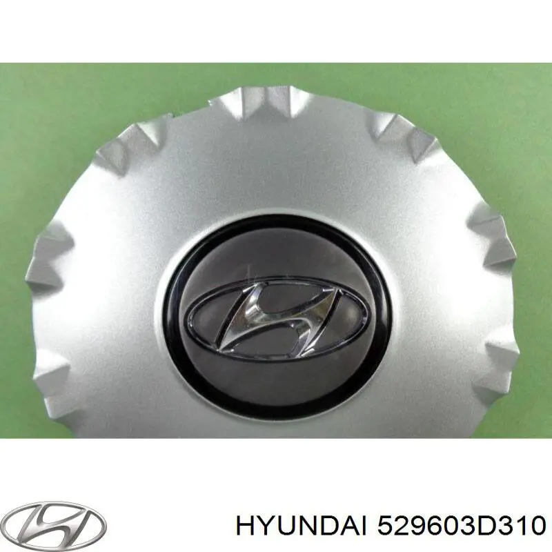Колпак колесного диска на Hyundai Sonata EU4