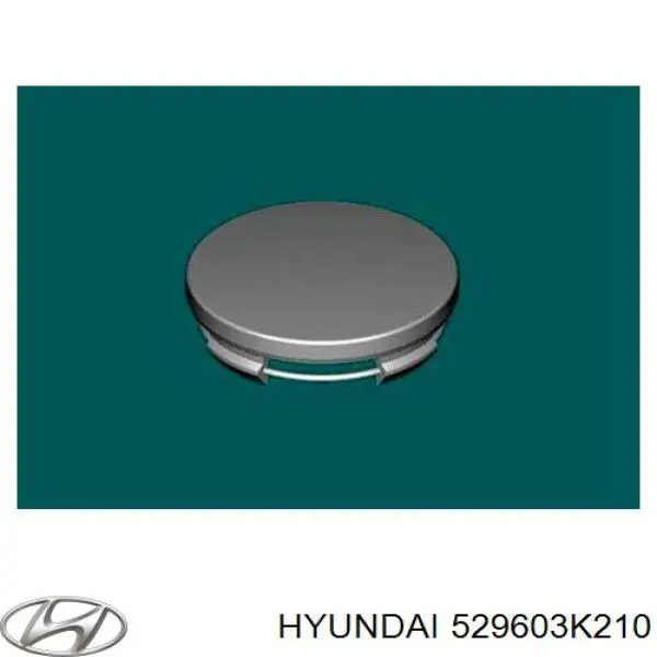 Колпак колесного диска на Hyundai Sonata NF