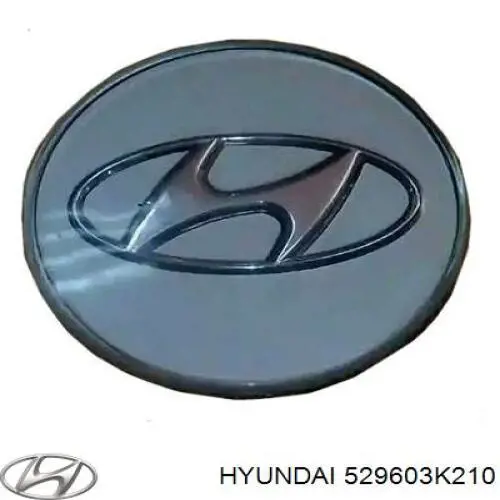 Колпак колесного диска Hyundai/Kia 529603K210 цена, от 5.69 USD