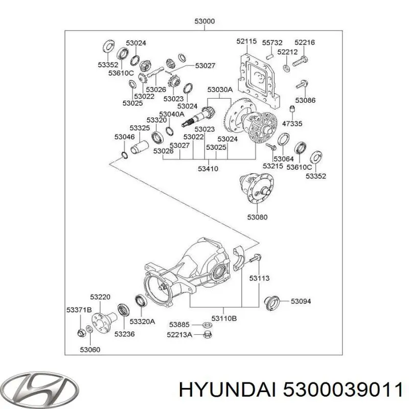 Задний редуктор 5300039011 Hyundai/Kia