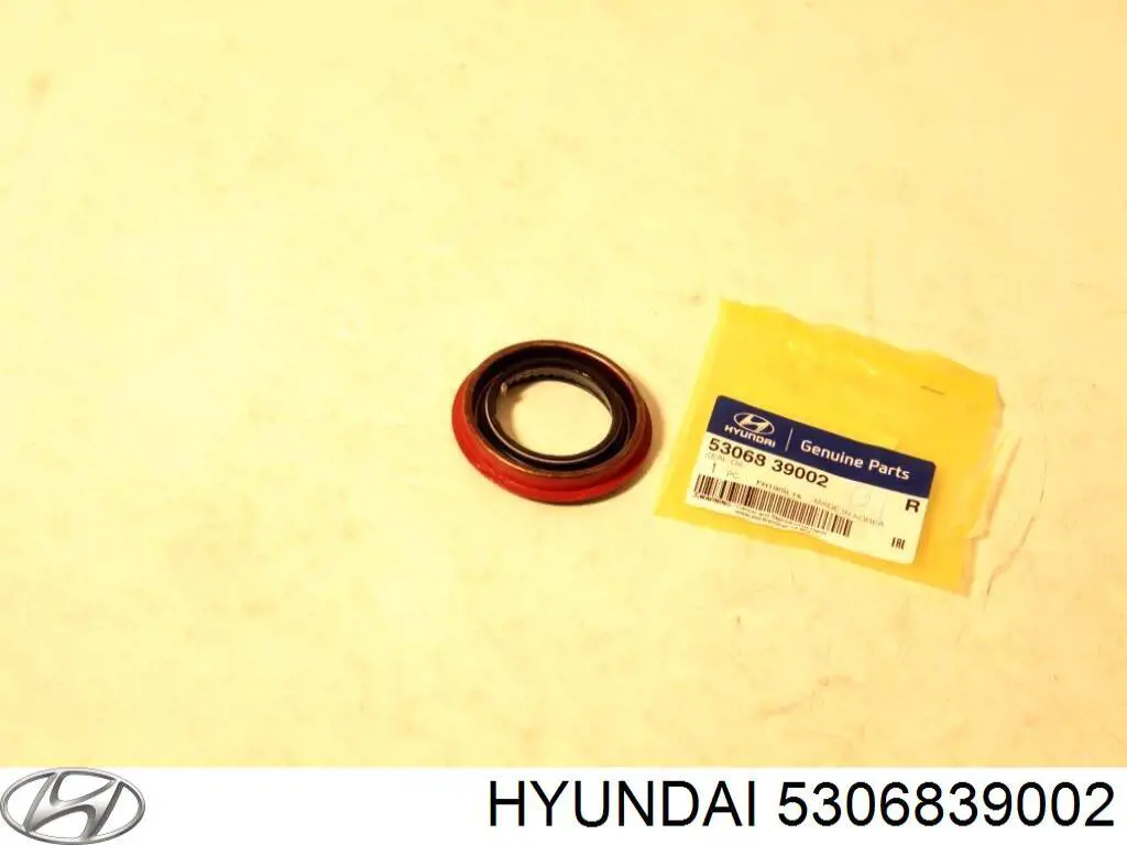 Bucim de redutor do eixo traseiro para Hyundai Santa Fe (SM)