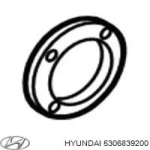 Купить 5306839200 Hyundai/Kia Сальник редуктора заднего моста