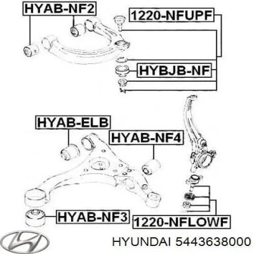 5443638000 Hyundai/Kia