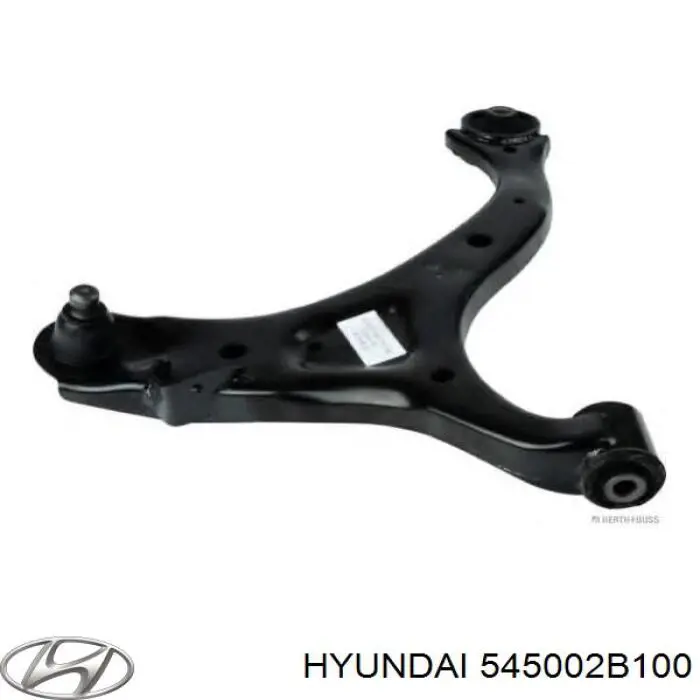 Купить 545002B100 Hyundai/Kia Рычаг передней подвески левый