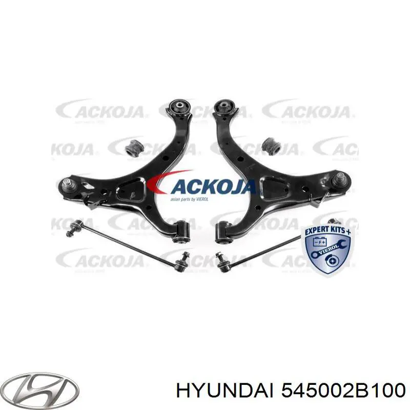 Купить 545002B100 Hyundai/Kia Рычаг передней подвески левый