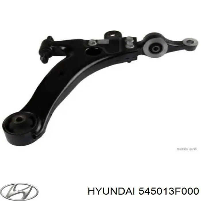  545013F000 Hyundai/Kia