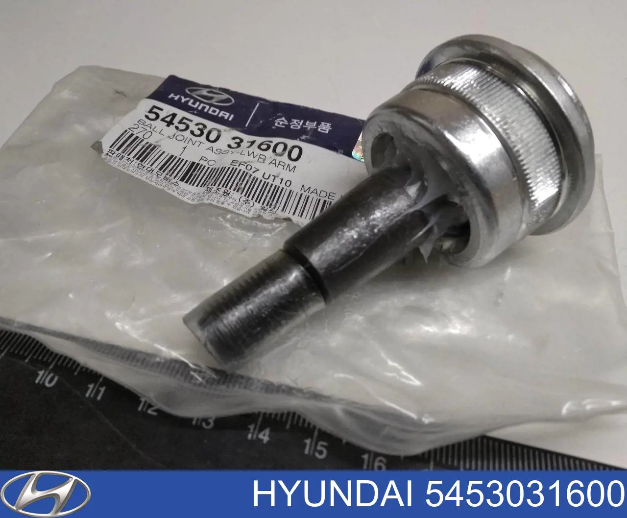 5453031600 Hyundai/Kia шаровая опора нижняя