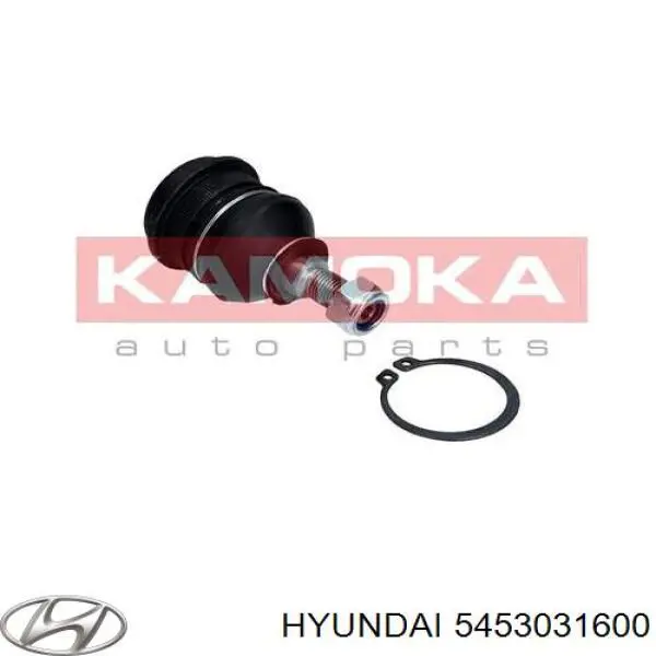 Нижняя шаровая опора Hyundai/Kia 5453031600