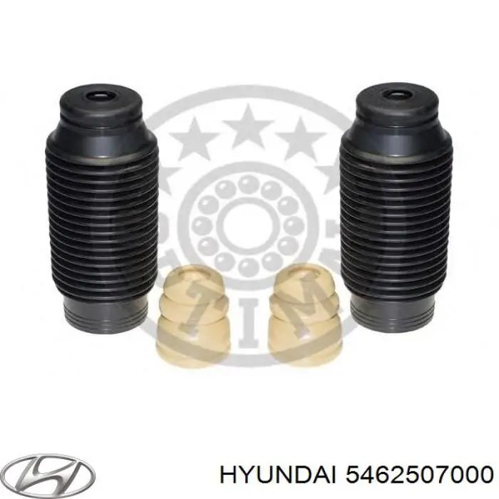 Bota de proteção de amortecedor dianteiro para Hyundai I10 (PA)