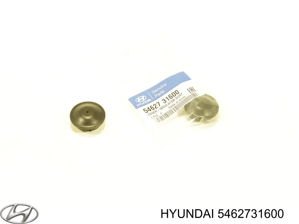  5462731600 Hyundai/Kia