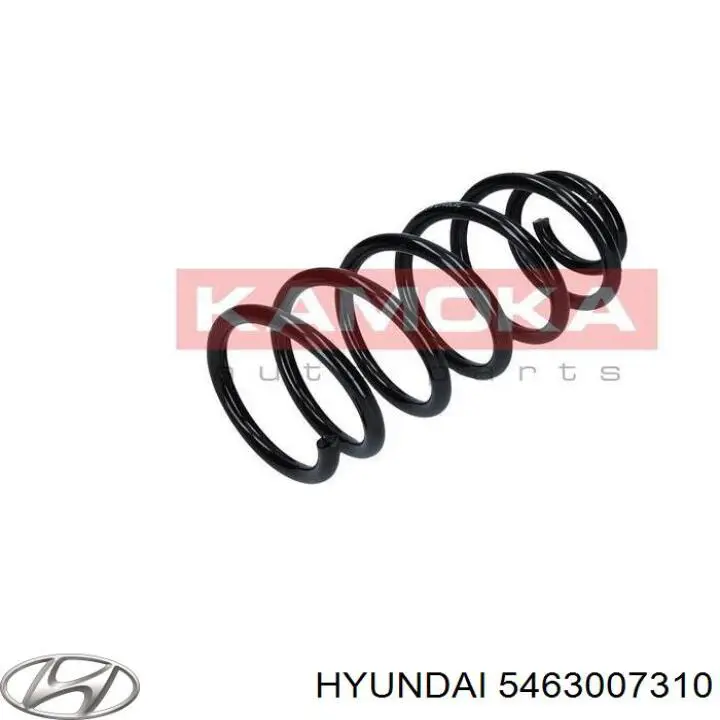 5463007310 Hyundai/Kia mola dianteira