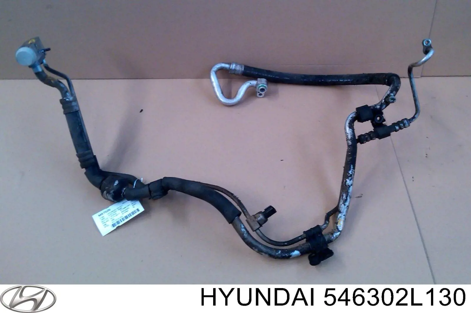 Передняя пружина 546302L130 Hyundai/Kia