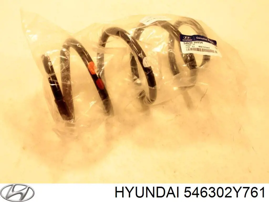546302Y761 Hyundai/Kia mola dianteira