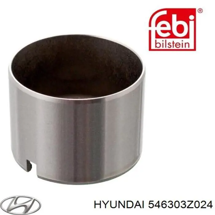 Передняя пружина 546303Z024 Hyundai/Kia