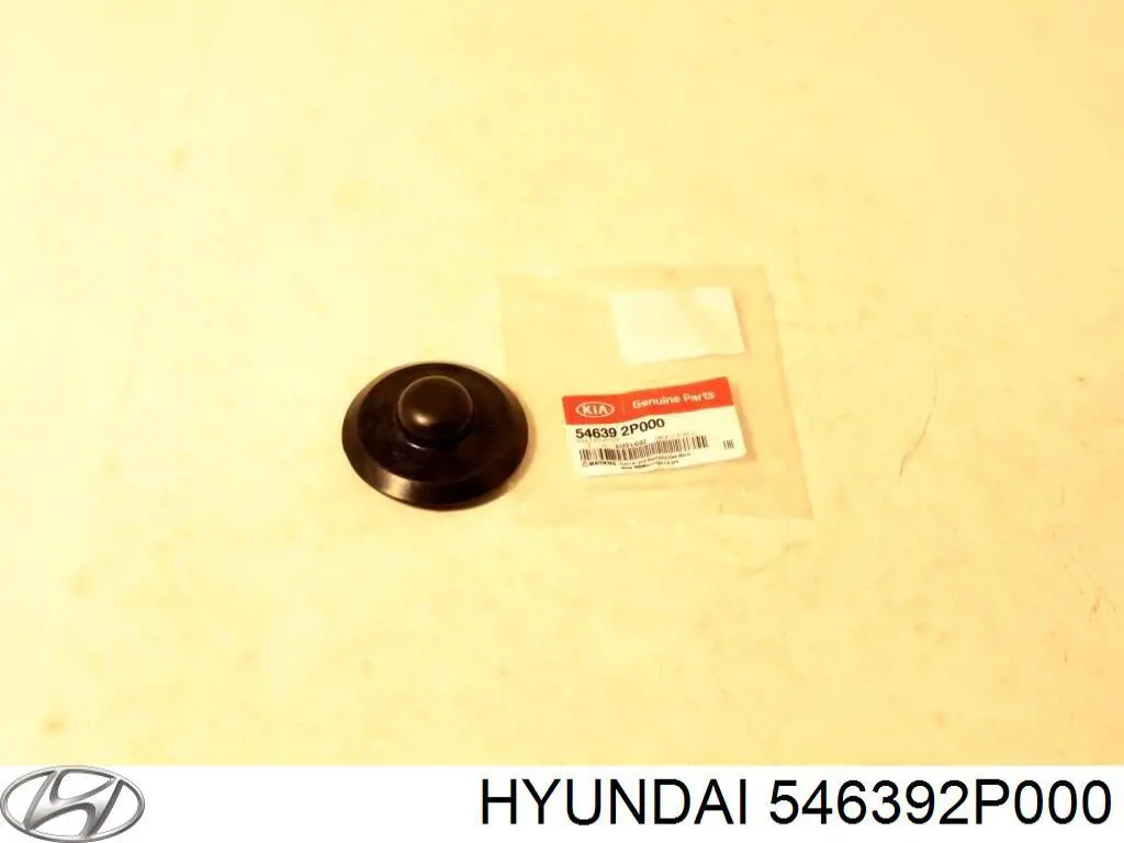  546392P000 Hyundai/Kia